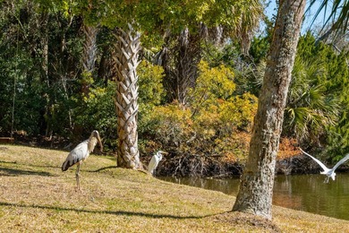 Experience the best of island living at this beautifully - photo 38