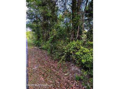 Build Your Coastal Dream home with easy access to Waveland - photo 1