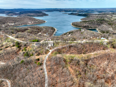 Great Beaver Lake View from this Hilltop 3+ Acres! - photo 18