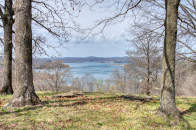 Great Beaver Lake View from this Hilltop 3+ Acres! - photo 12