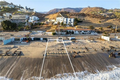 21332 Pacific Coast Hwy - photo 8