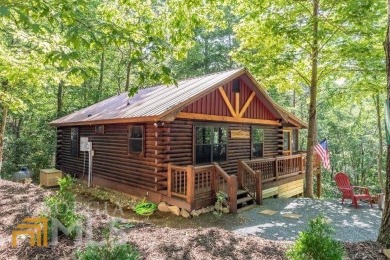Cherry Log Lake Home For Sale in Blue Ridge Georgia