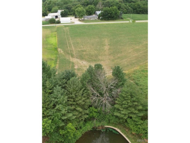 Lake Acreage For Sale in Highland, Illinois
