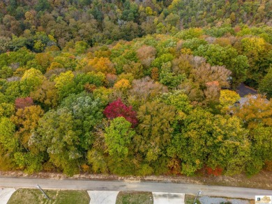 Lake Cumberland Lot For Sale in Russell Springs Kentucky