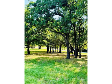 Lake Whitney Lot For Sale in Whitney Texas