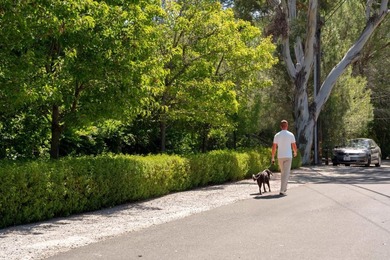 Situated on a picturesque tree-lined street and located down a - photo 41