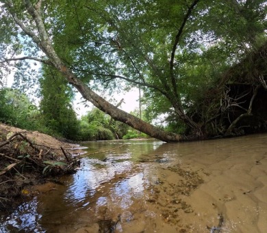 Lake Home For Sale in Foxworth, Mississippi