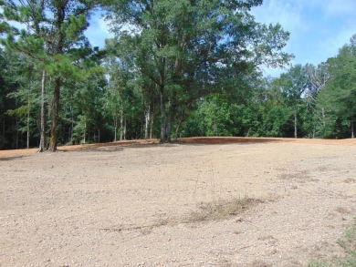Lake Acreage Sale Pending in Wesson, Mississippi