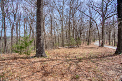 Great Beaver Lake View from this Hilltop 3+ Acres! - photo 19