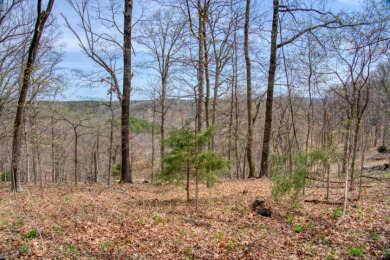 Great Beaver Lake View from this Hilltop 3+ Acres! - photo 24