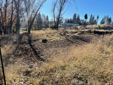 Magalia Lake  Lot For Sale in Magalia California