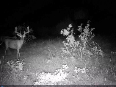 (private lake, pond, creek) Acreage For Sale in Gustine Texas