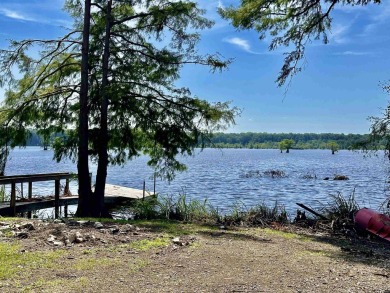 Lake Home For Sale in Tiptonville, Tennessee