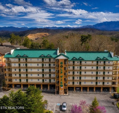 Your mountain resort dream awaits. Whether you're searching for - photo 1