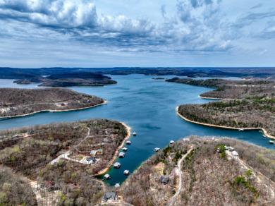 Great Beaver Lake View from this Hilltop 3+ Acres! - photo 2