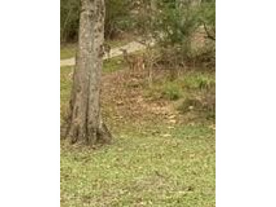 Lake Acreage Sale Pending in Sandy Hook, Mississippi