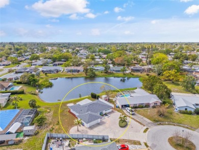 (private lake, pond, creek) Home For Sale in Bradenton Florida