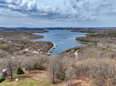 Great Beaver Lake View from this Hilltop 3+ Acres! - photo 13
