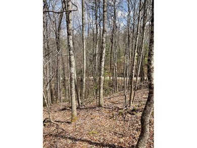 Queens Creek Lake Acreage For Sale in Topton North Carolina