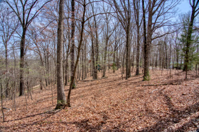 Great Beaver Lake View from this Hilltop 3+ Acres! - photo 20