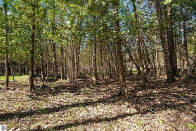 Among the trees just minutes from downtown Boyne City and the - photo 7