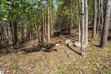 Among the trees just minutes from downtown Boyne City and the - photo 8