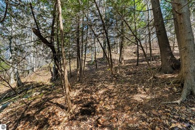 Among the trees just minutes from downtown Boyne City and the - photo 9