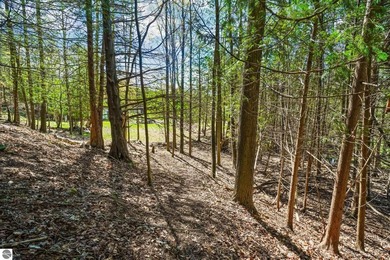 Among the trees just minutes from downtown Boyne City and the - photo 10