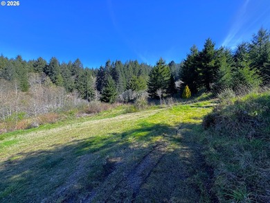 Private, Peaceful Creekside Retreat on 1.99 Acres - Gated - photo 11