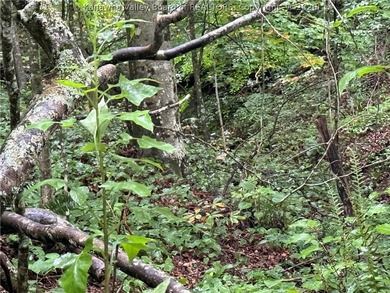 Nice hunting property located less than 5 miles from Mud River - photo 12