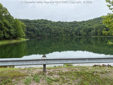Nice hunting property located less than 5 miles from Mud River - photo 22