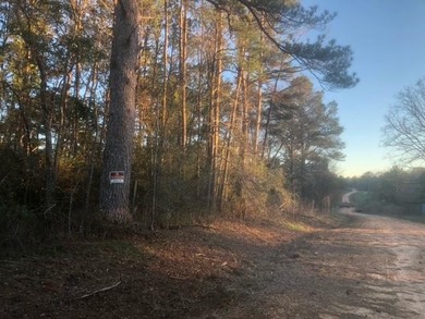 (private lake, pond, coastal) Acreage Sale Pending in Mccomb Mississippi