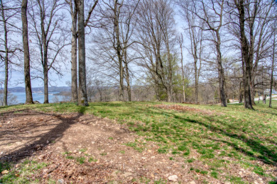Great Beaver Lake View from this Hilltop 3+ Acres! - photo 11