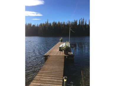 Lake Home For Sale in Colville, Washington