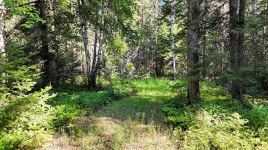 Lake Acreage For Sale in Cusick, Washington