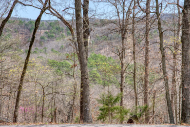 Great Beaver Lake View from this Hilltop 3+ Acres! - photo 15