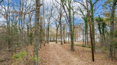 Twelve Waterfront Acres on Lake Bob Sandlin! - photo 11