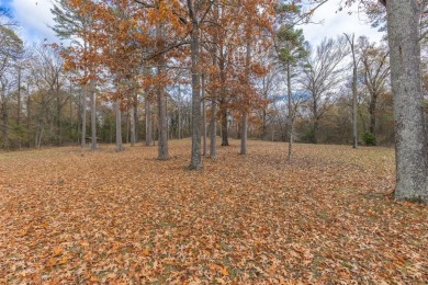 Twelve Waterfront Acres on Lake Bob Sandlin! - photo 12