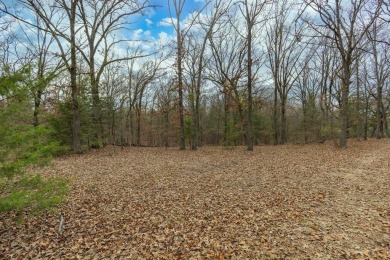 Twelve Waterfront Acres on Lake Bob Sandlin! - photo 13