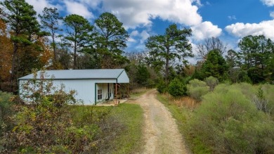 Twelve Waterfront Acres on Lake Bob Sandlin! - photo 15