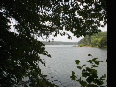 Leesville Lake Lot For Sale in Pittsville Virginia