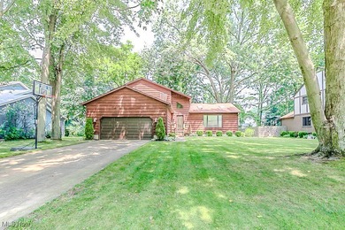 Lake Erie - Lake County Home Sale Pending in Mentor Ohio