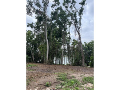 Lake Lot For Sale in Lake Park, Georgia