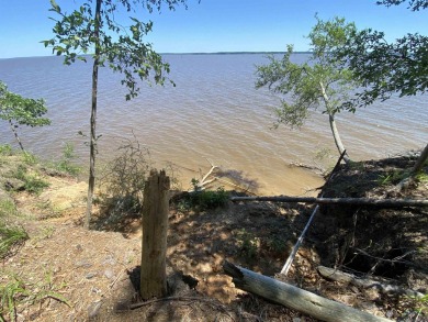 Lake Acreage For Sale in Shelbyville, Texas