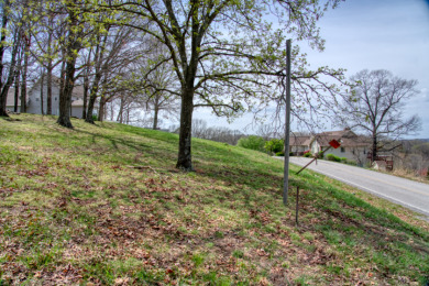 Great Beaver Lake View from this Hilltop 3+ Acres! - photo 10