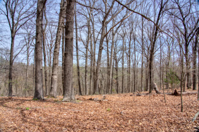 Great Beaver Lake View from this Hilltop 3+ Acres! - photo 22