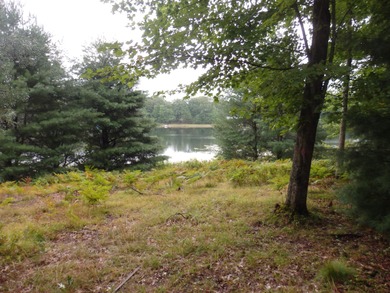 Shingle Mill Lake Lot For Sale in Manistee Michigan