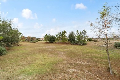 PREMIUM LOT: Welcome to this beautifully maintained Orchid model - photo 40