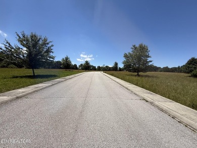 Excellent location! This 0.77 acre lot is in Maple Point - photo 2