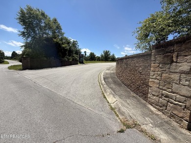 Excellent location! This 0.77 acre lot is in Maple Point - photo 3